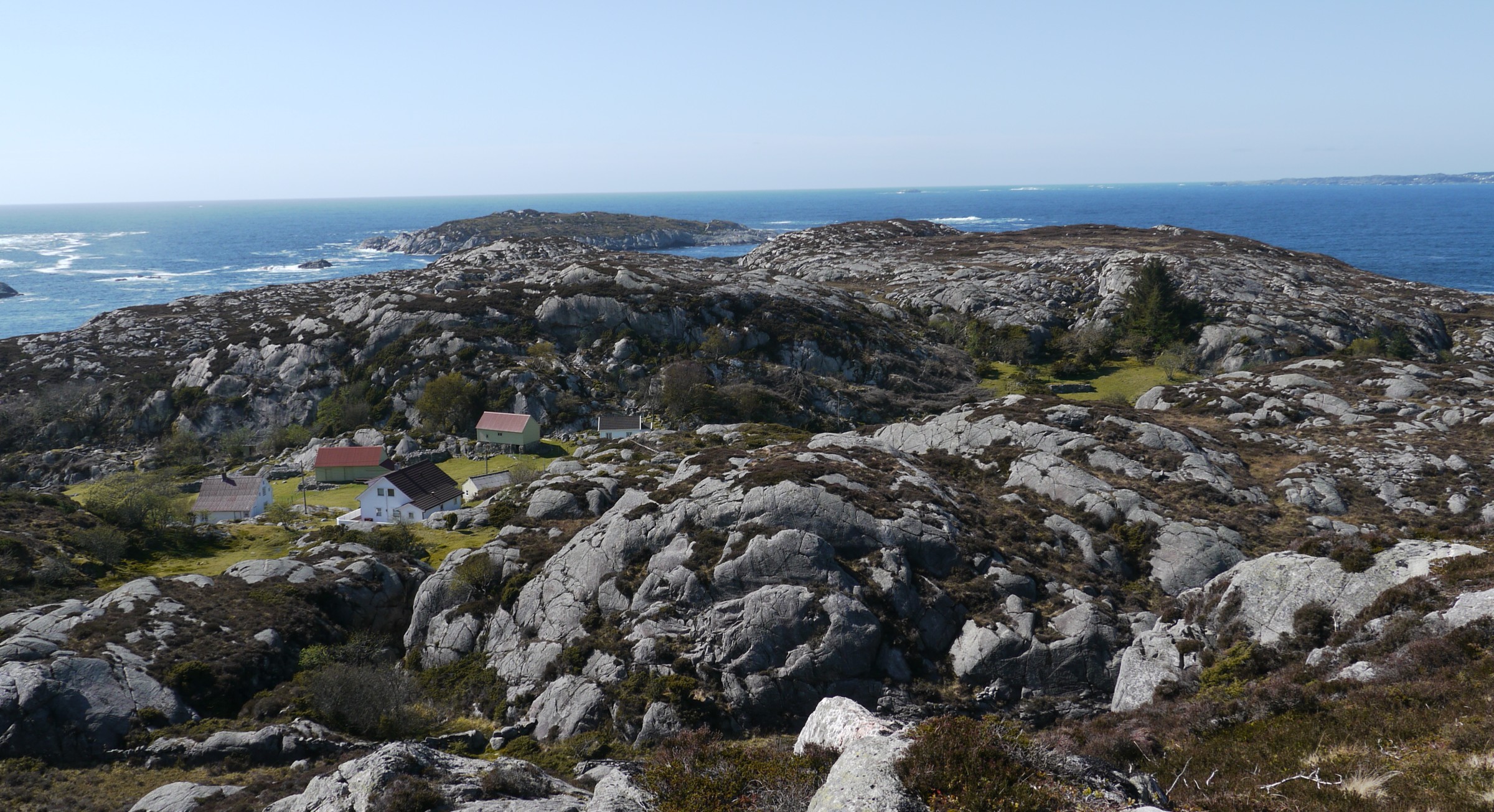 Kystlynghei på Eggøy i Fitjar. Foto: Solveig Kalvø Roald