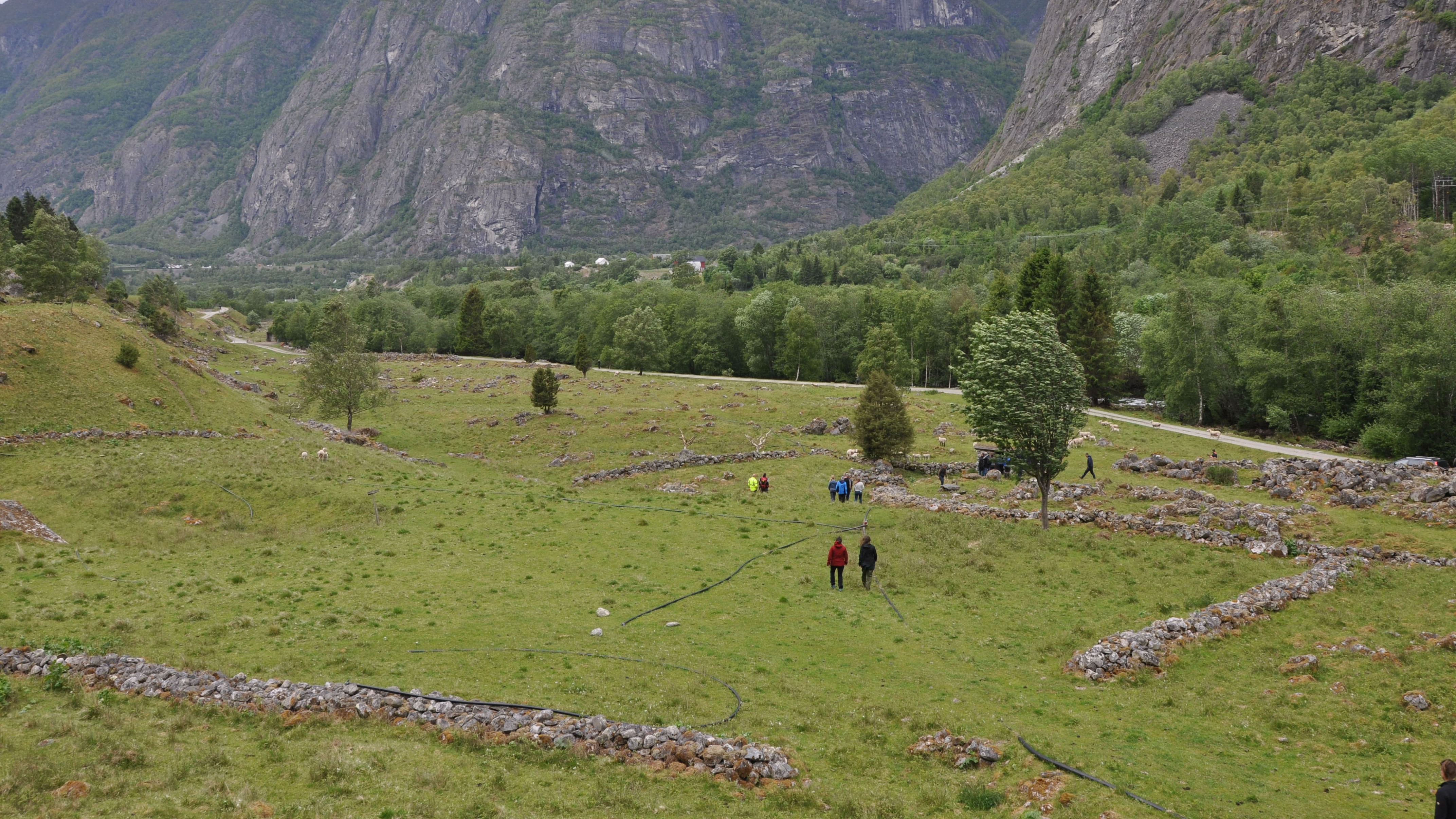 Landskap med beiter i forgrunnen og fjell i bakgrunnen. Skog