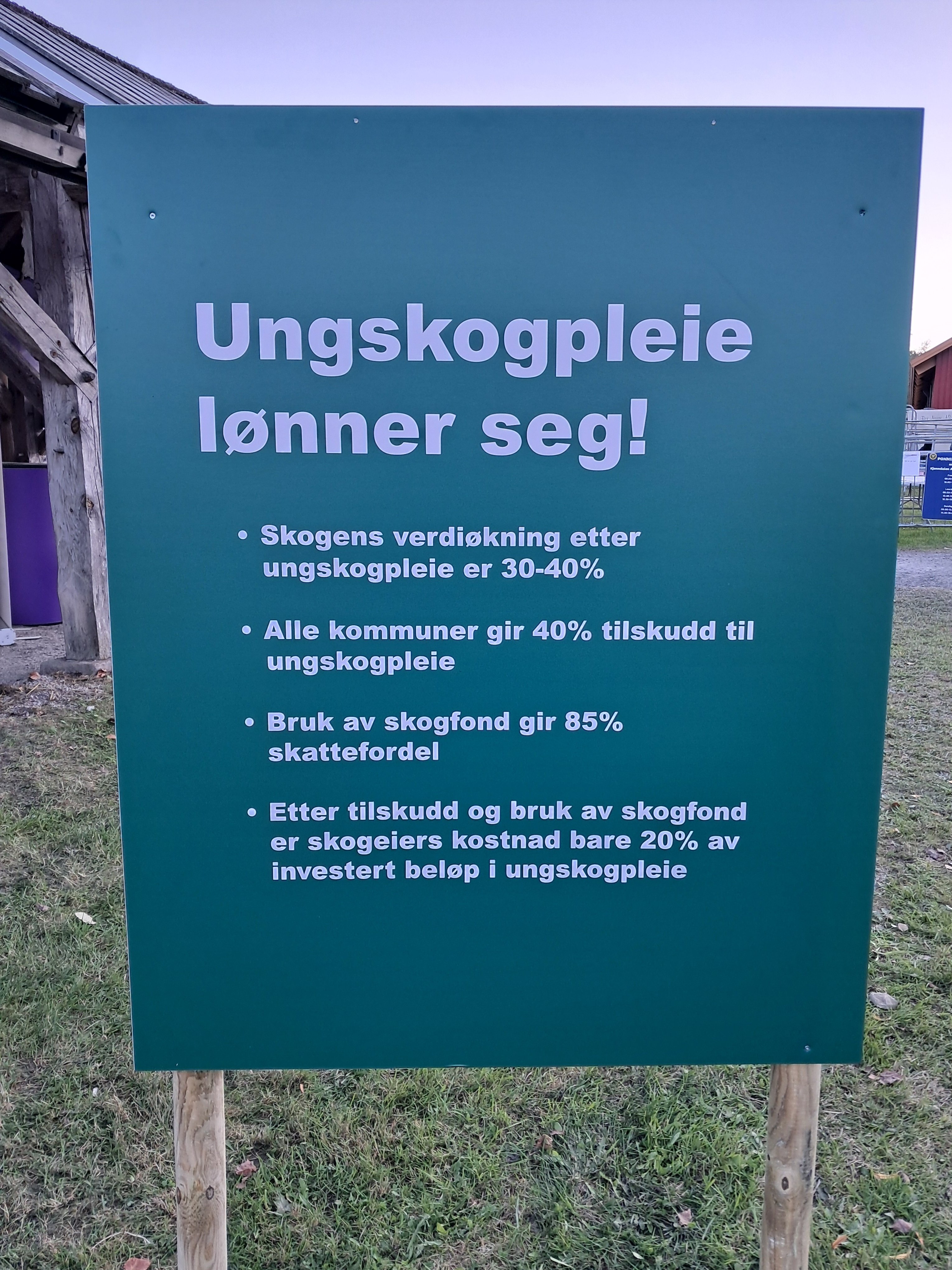 Plakat om hvorfor ungskogpleie lønner seg