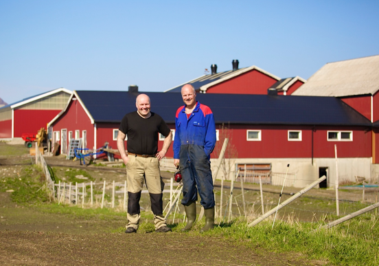 Arild og Ole Johan Johansen, Bolle samdrift, Vestvågøy.