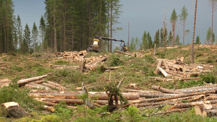 Foto: Statsforvaltaren i Møre og Romsdal
