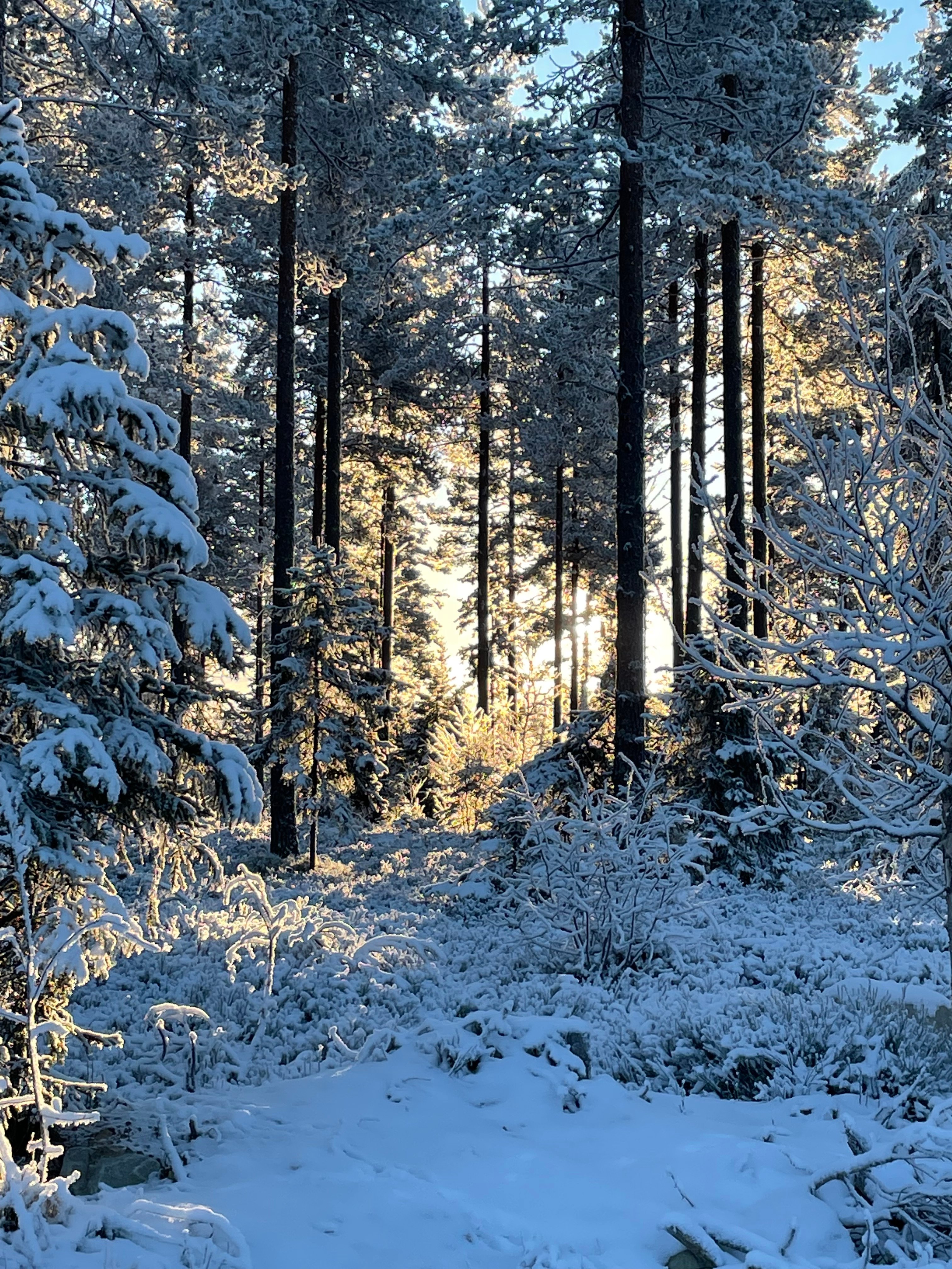 Foto: Mathis Lunde