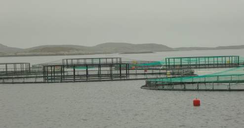 Akvakulturanlegg i Nord-Trøndelag