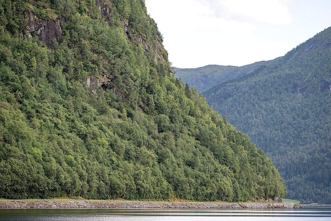 Bratt fjellside dekt av skog med ein bilveg og eit vatn i botnen av fjellsida.