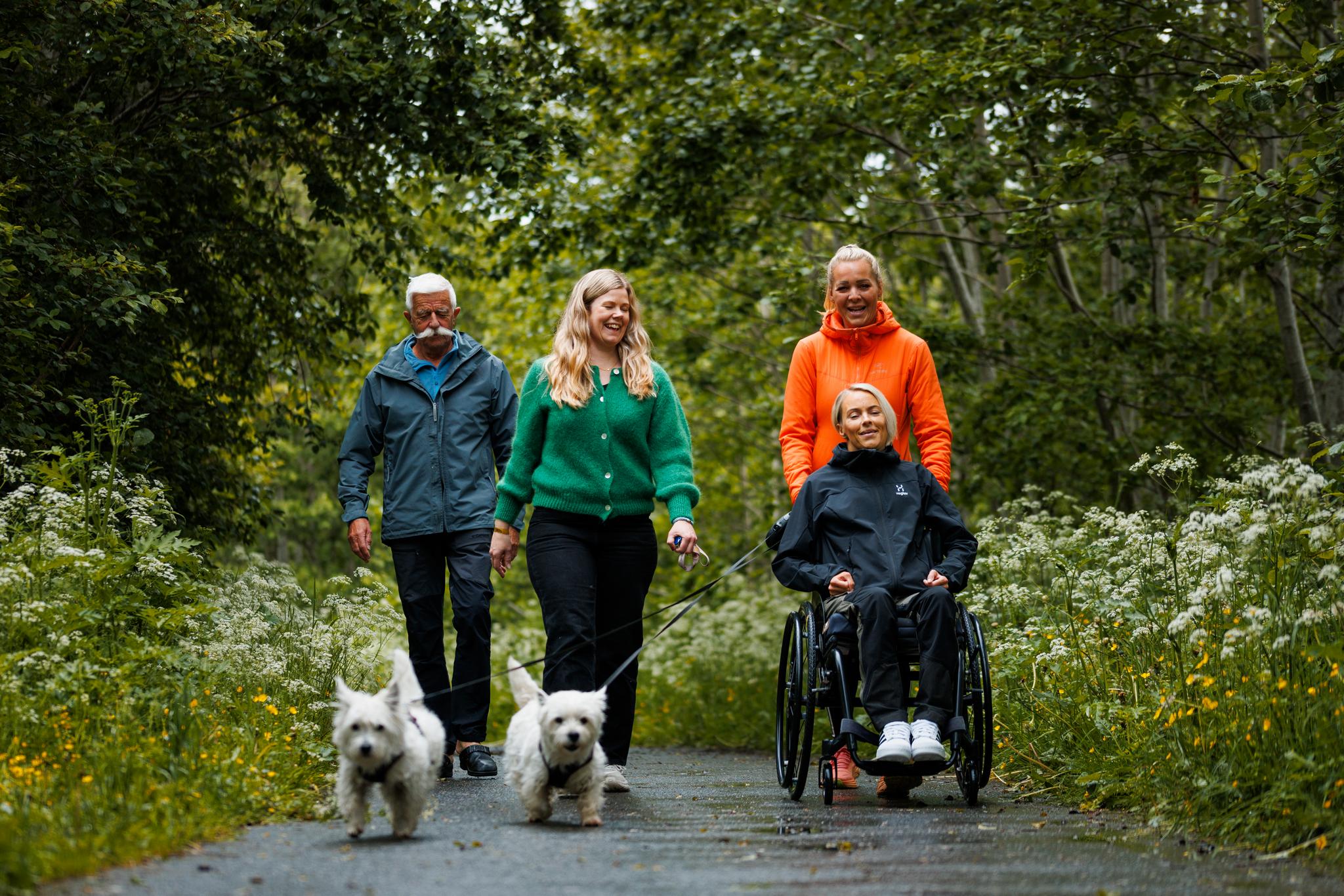 Vi inviterer til webinar om inkluderande bildebruk. Foto: Thomas Jergel, Camerat / Skaun kommune/Likestillingssenteret KUN. Bildet viser fire personer, der ein sit i rullestol, og to hundar som går på tur i skogen.