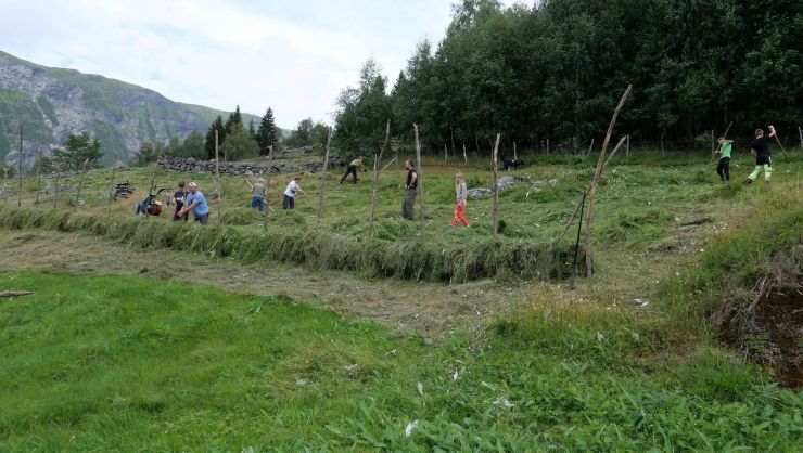 Slåttegjeng i full aktivitet på ormeli 