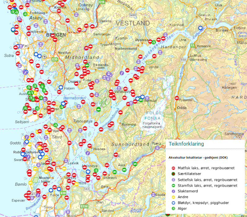 Kart som viser at det er mange akvakulturlokalitetar i Hardangerfjorden og området rundt