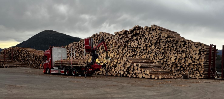 Tømmer frå Vestlandet. Foto: Statsforvaltaren i Møre og Romsdal, Christina Qvam Heggertveit