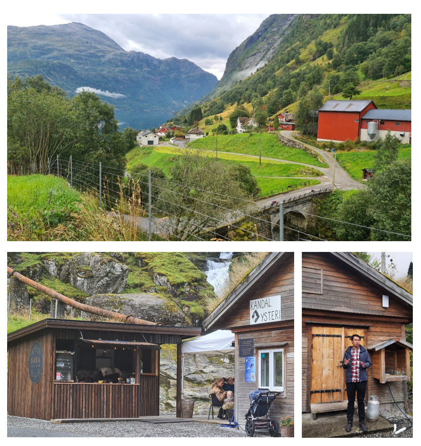 Gårdsbruk i landskap og brune små hus i tre bilder