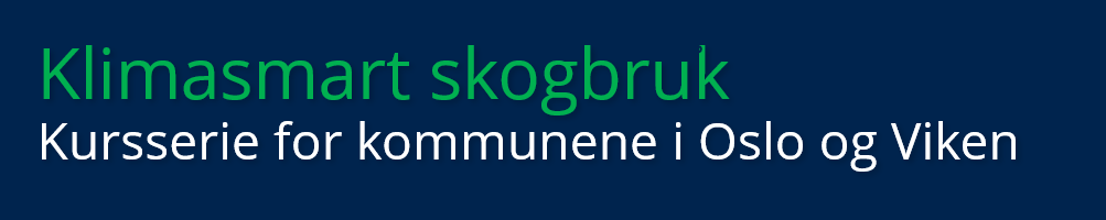 Banner som viser tittel på prosjektet "Klimasmart skogbruk". Grønn skrift på blå bakgrunn