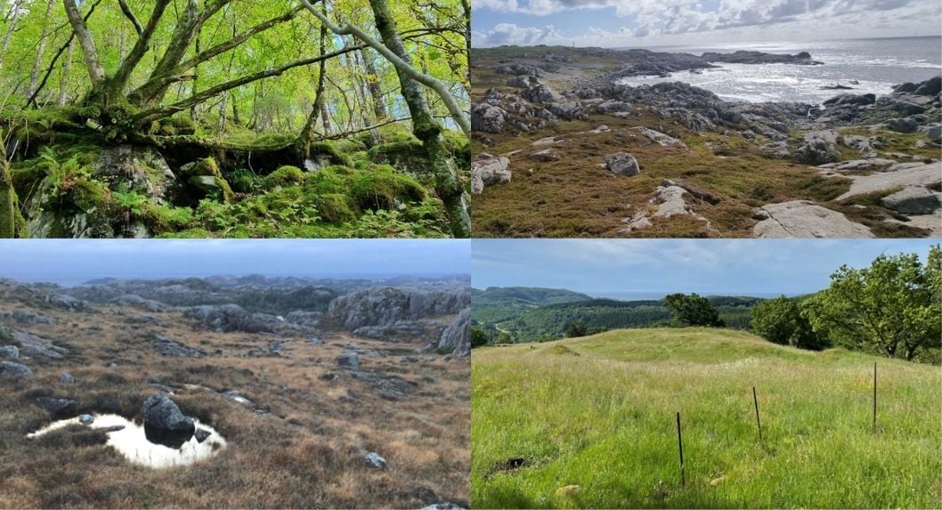 Natur i Rogaland (Foto av Statsforvalteren i Rogaland)