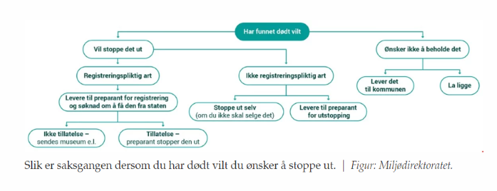 Framgangsmåte ved funn av dødt vilt