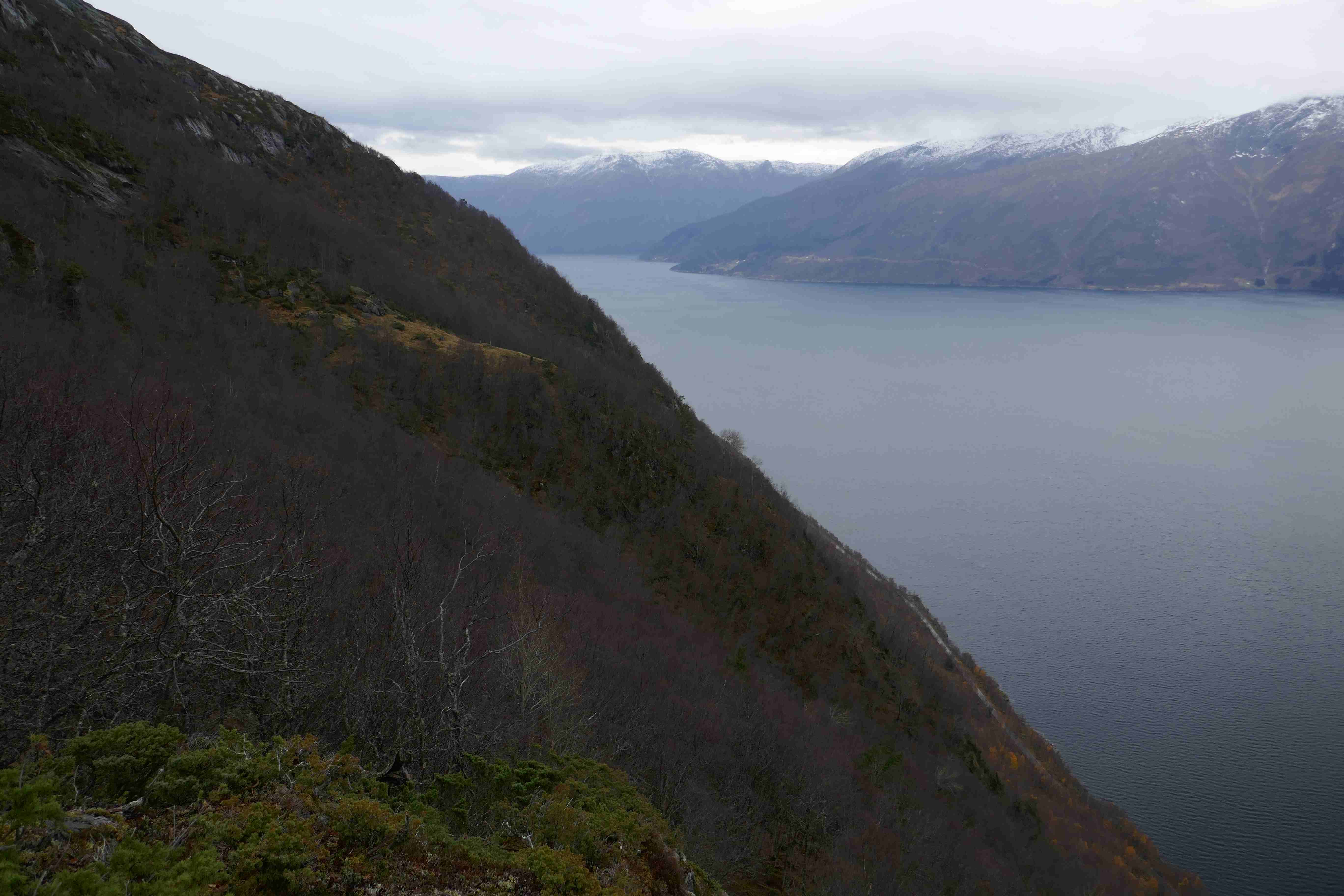 Område Kvist i Balestrand kommune. Foto: Tom Dybwad