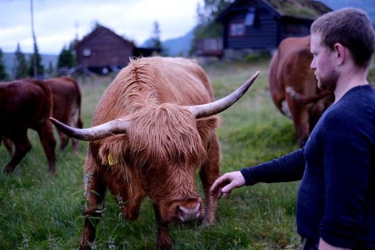 Lars Ingvald Folkedal har på få år bygd opp ein vanleg vestlandsgard til ei allsidig verksemd som i dag teller omlag 6 årsverk