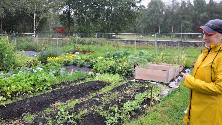 Solveig Lilletvedt foran bed med planter i parsellhagen