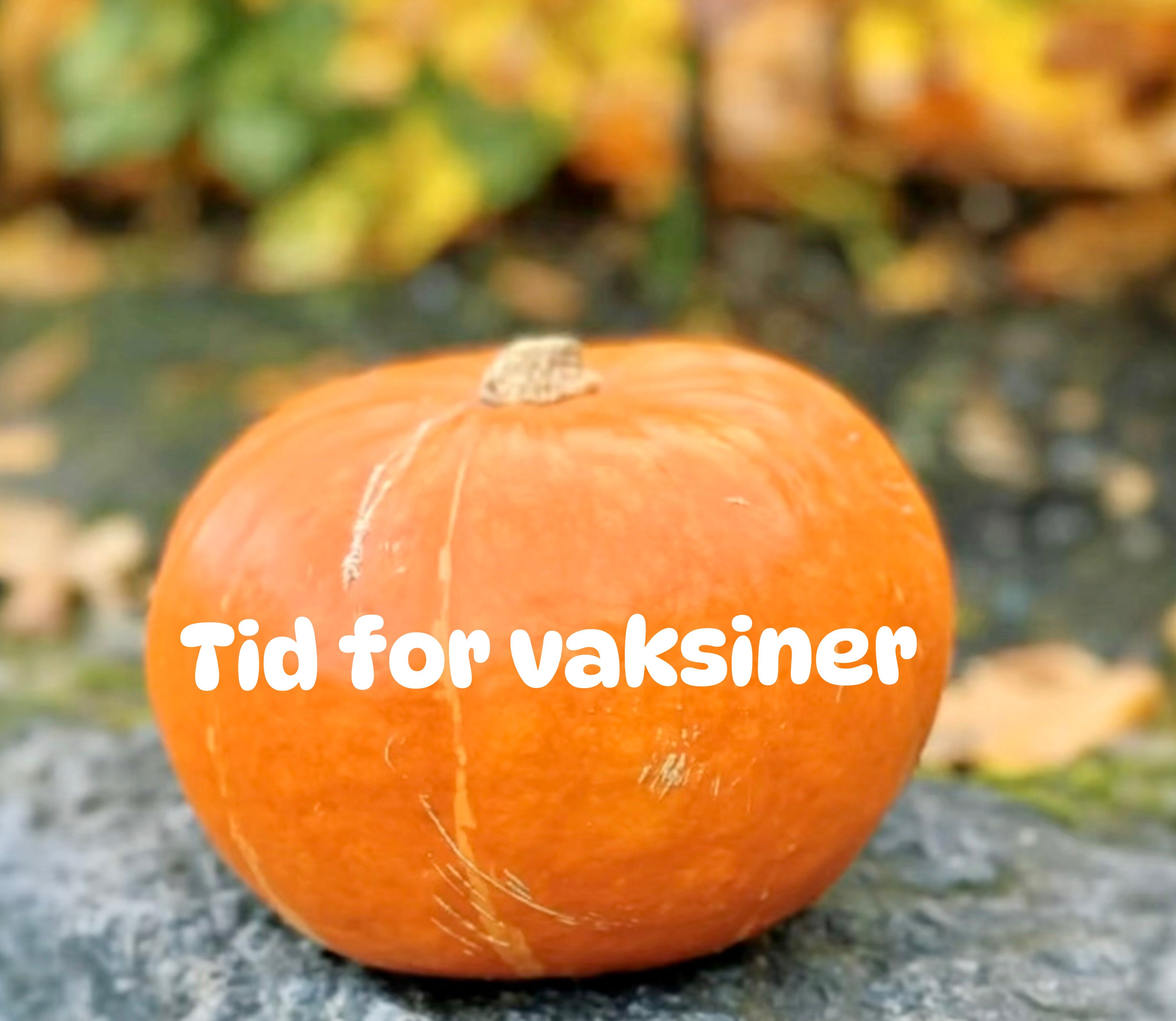 Tid for vaksiner! Foto: Monica Bakkelund, SFVT / SFVT Monica Bakkelund.