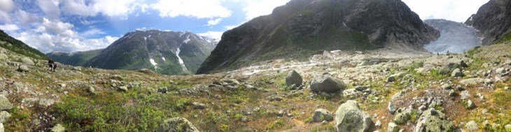 Vi har mykje fjell i Noreg, og fjellområda er viktige for mange spesialiserte artar. Ein nyleg publisert NINA-rapport vurderer den økologiske tilstanden i landet vårt til så vidt god. Villreinen  er likevel hamna på raudlista, og det er langt færre smågnagarar i fjellet enn tidlegare. 
