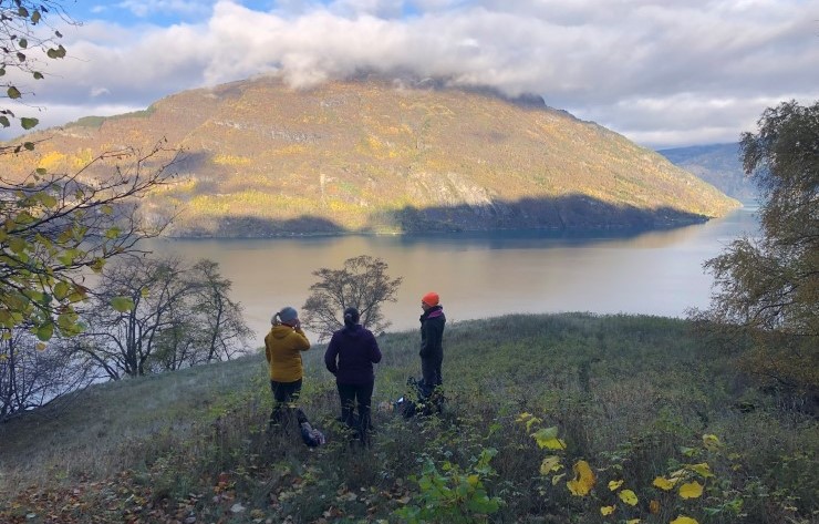 Luster kommune er ein av kommunane i Vestland som er i gang med ein kommunedelplan for naturmangfald. Her er kommunen på synfaring med grunneigar, SNO og Statsforvaltaren for å mellom anna vurdere restaurering av ei slåtteeng i eit naturreservat. 