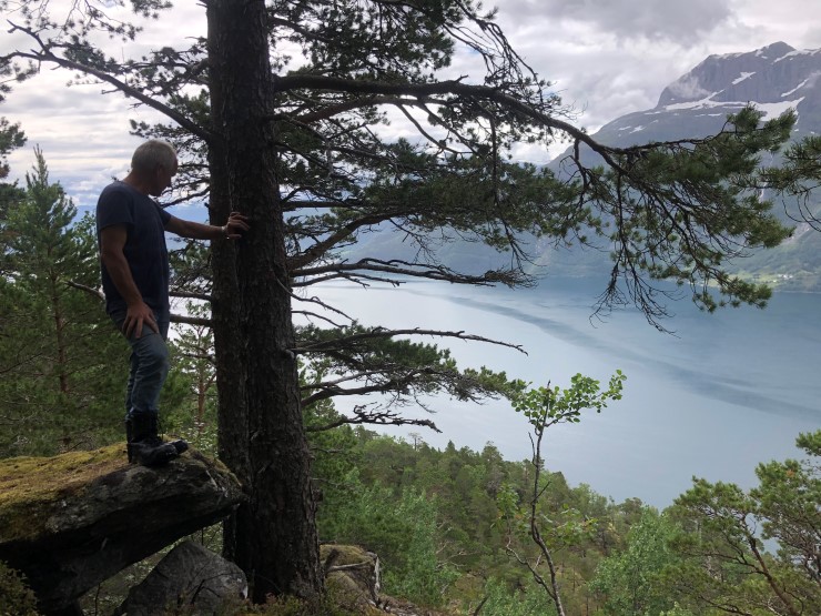 Grunneigar kikker ut over terrenget mellom fjord og fjell aust for Hunvika i Stad kommune. Han og tre andre i felleseiget har tilbydd området til vern som naturreservat. På den andre sida av fjorden ligg Ålfotbreen landskapsvernområde høgt til fjells.