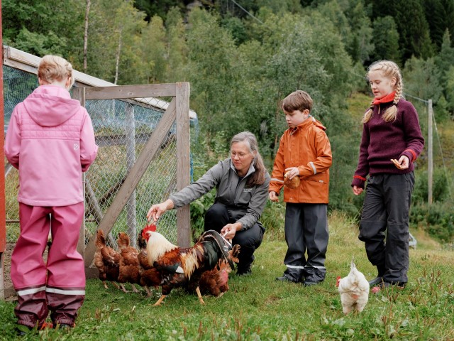 Lær av erfaringene fra pilotkommunene i Nordland, foto: Dan Mariner