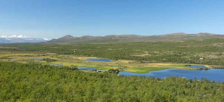 Fokstumyra Foto: Thor Østby. Landskap med vann, myr, fjell og blå himmel