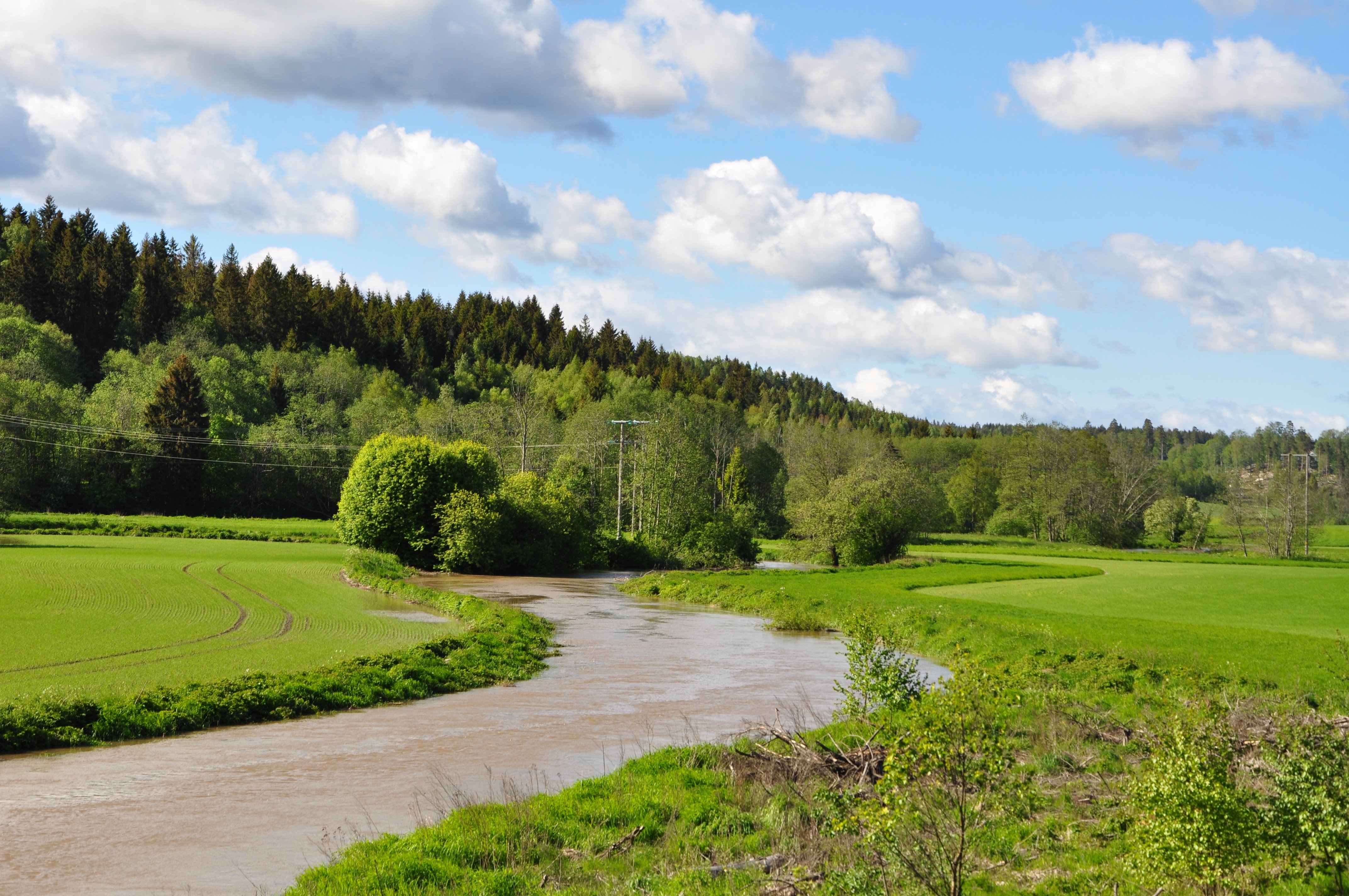 Oversvømmelse Hobølelva. Foto: Statsforvalteren i Østfold, Buskerud, Oslo og Akershus.