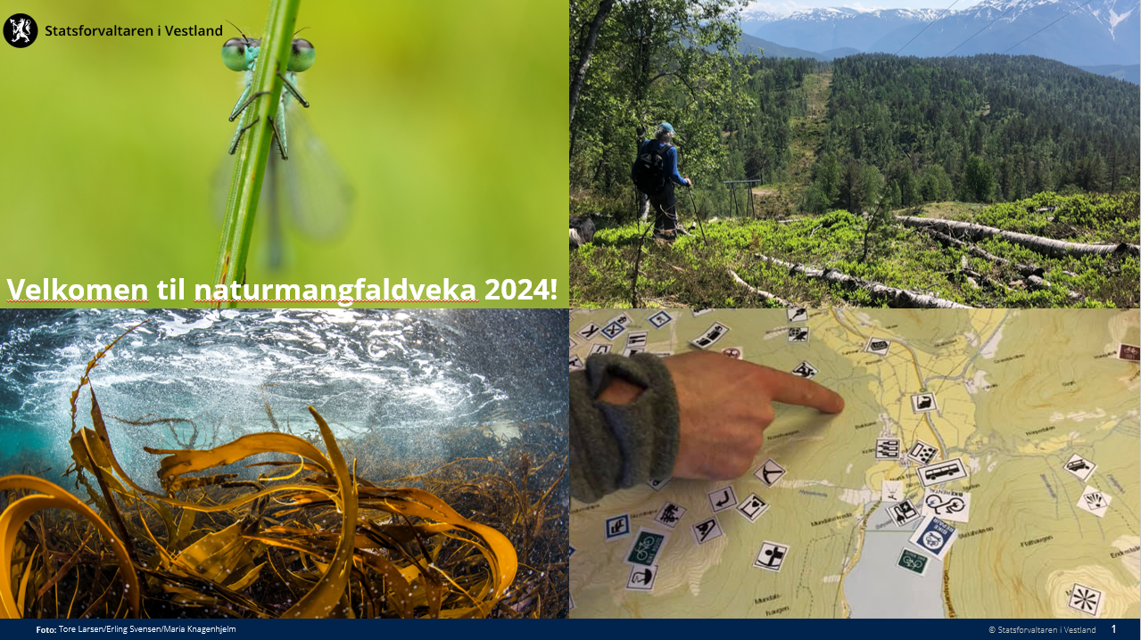 Naturmangfaldveka 2024 Statsforvaltaren I Vestland Naturmangfaldveka 2024 Statsforvaltaren I Vestland