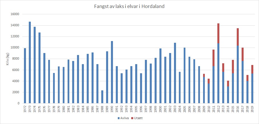 Fangst av laks  i vassdrag i Hordaland