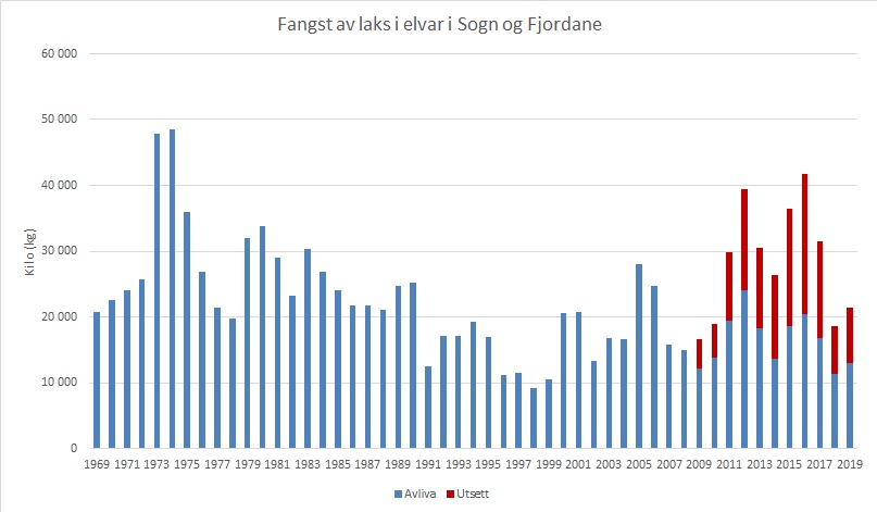 Fangst av laks i vassdrag i Sogn og Fjordane