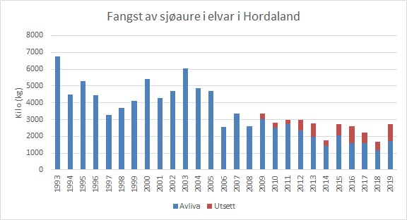 Fangst av sjøaure i vassdrag i Hordaland