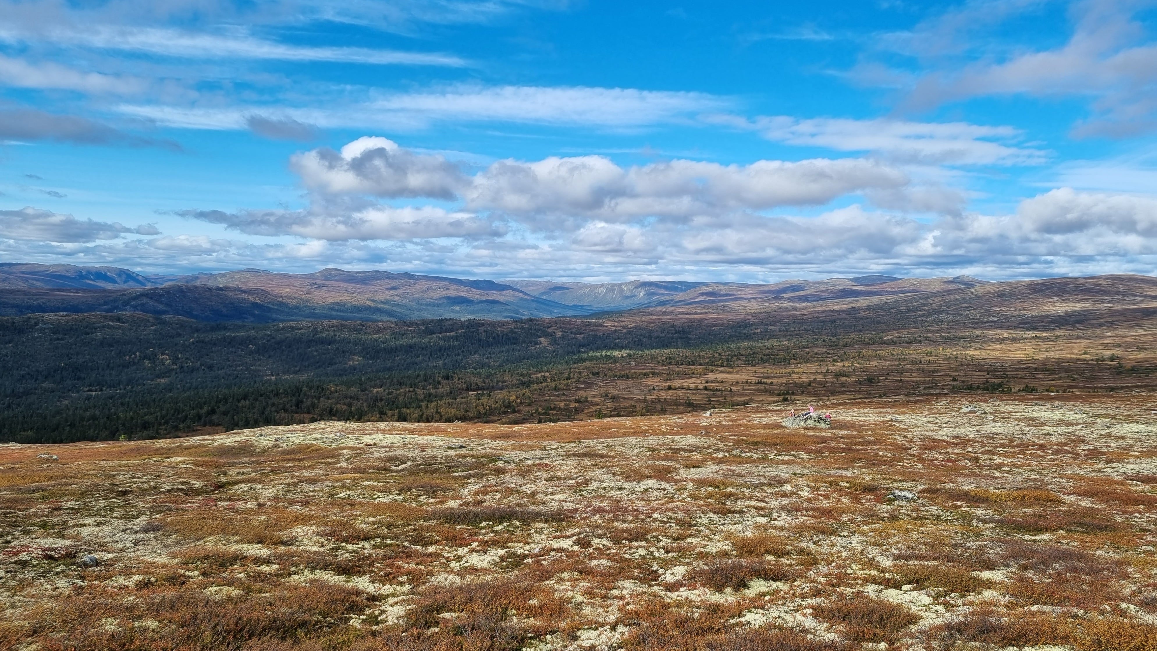 Snaufjell