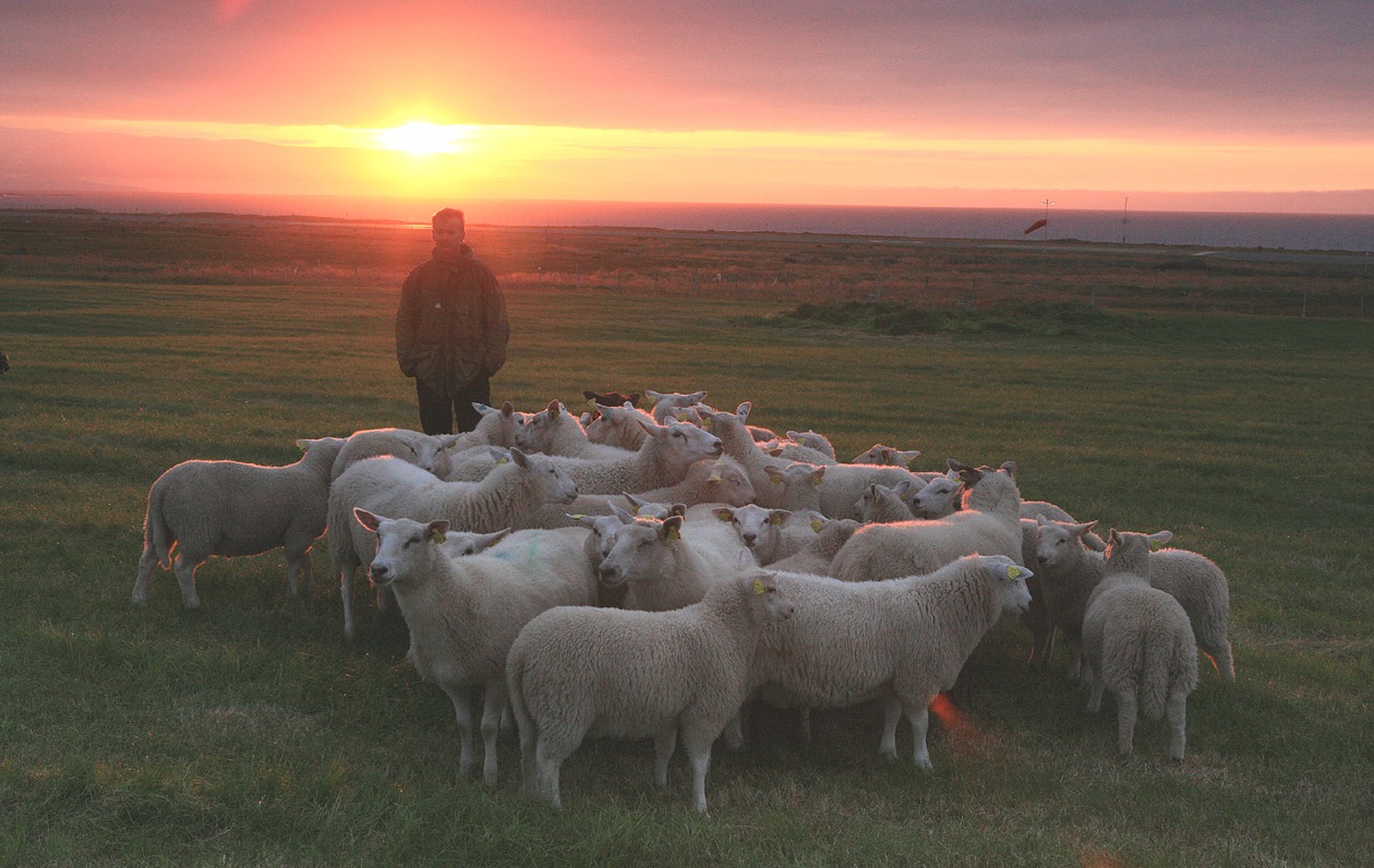 Berlevåg, Foto; Oscar Puschmann