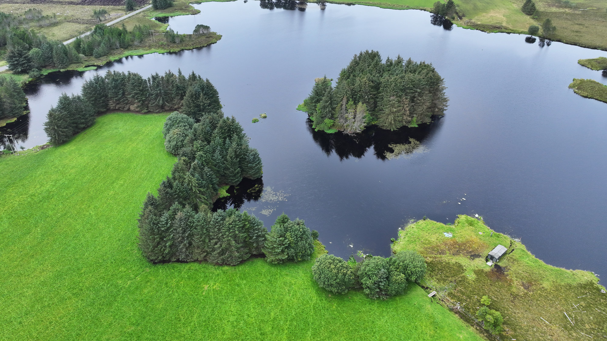 Eit stort vatn med grøn skog og grøne markar rundt. Midt i vatnet ligg ein holme som er attgrodd med skog.
