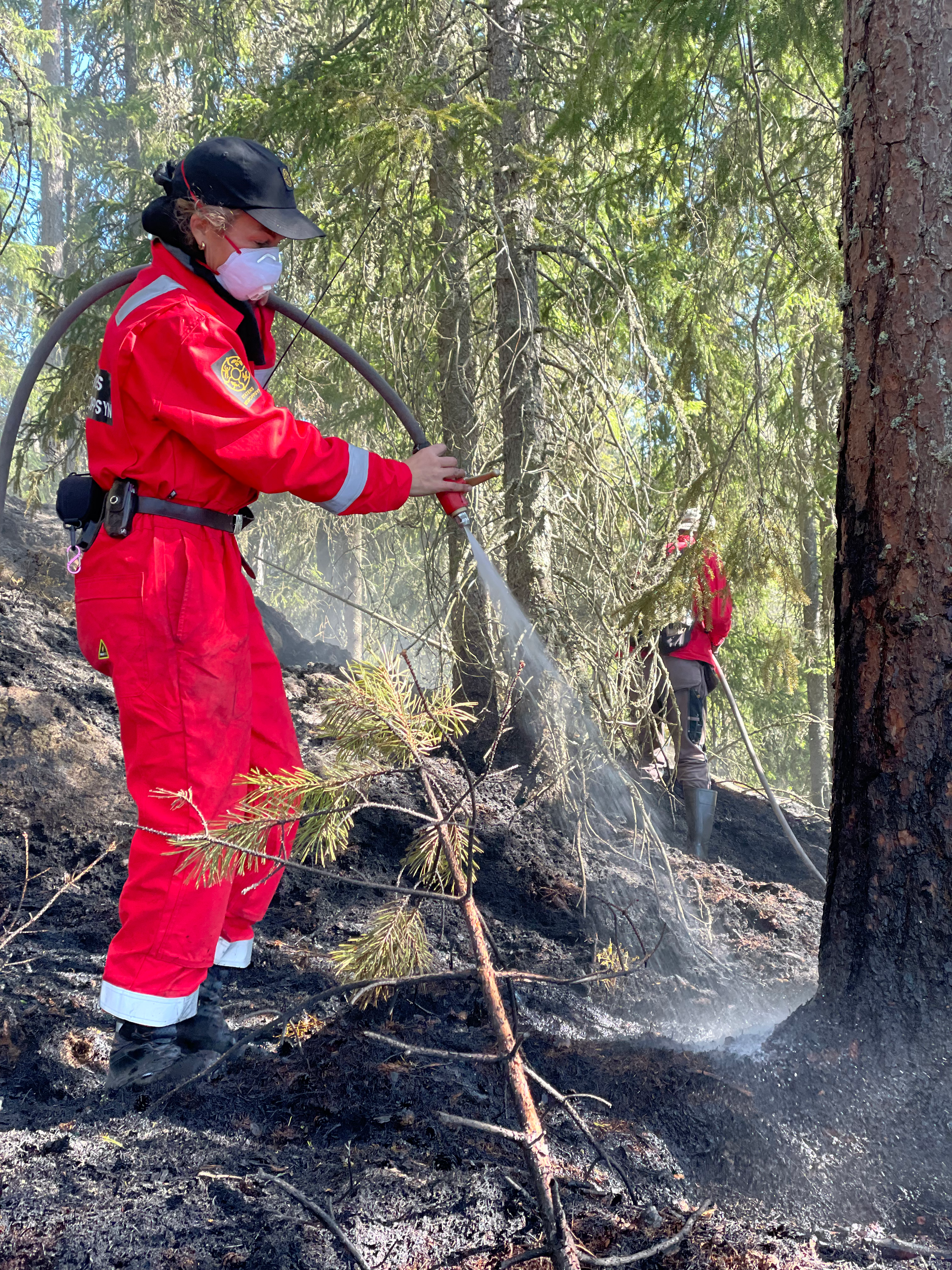 I dagene etter brenningen ble det gjennomført etterslukking ved grensene og i glødende områder. Den siste røyken ble observert en uke etter brenningen, og området var bemannet med observatører frem til 10 dager etter brenningen. Foto: Statsforvalteren.