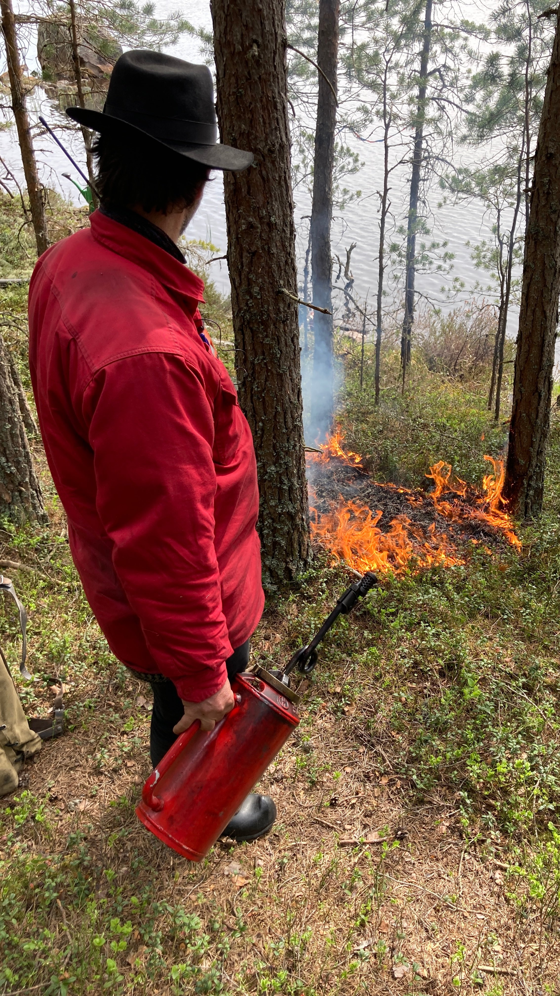 Brenning ble startet opp ved vannkant lengst sør i brenningsobjektet. Flammene brer seg ut i en sirkel og vil etter hvert danne en linje som rygger mot vindretningen. Foto: Statsforvalteren.