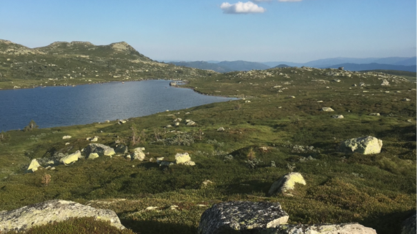 Fjellandskap og fjellvann