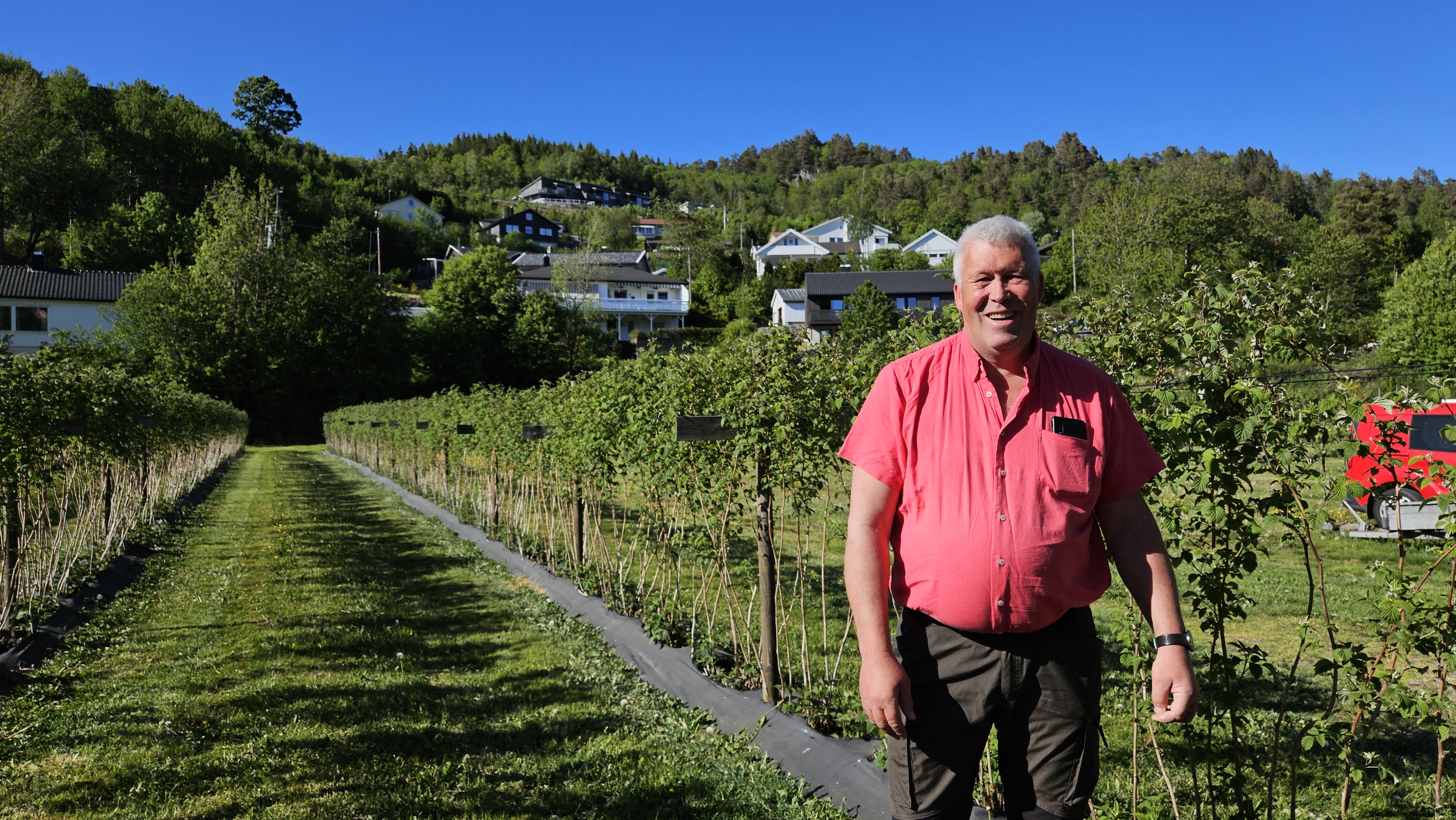 Karl Petter Vintland viser fram bringebærfeltet. Foto: Kjellfrid Straume / Statsforvalteren i Agder.