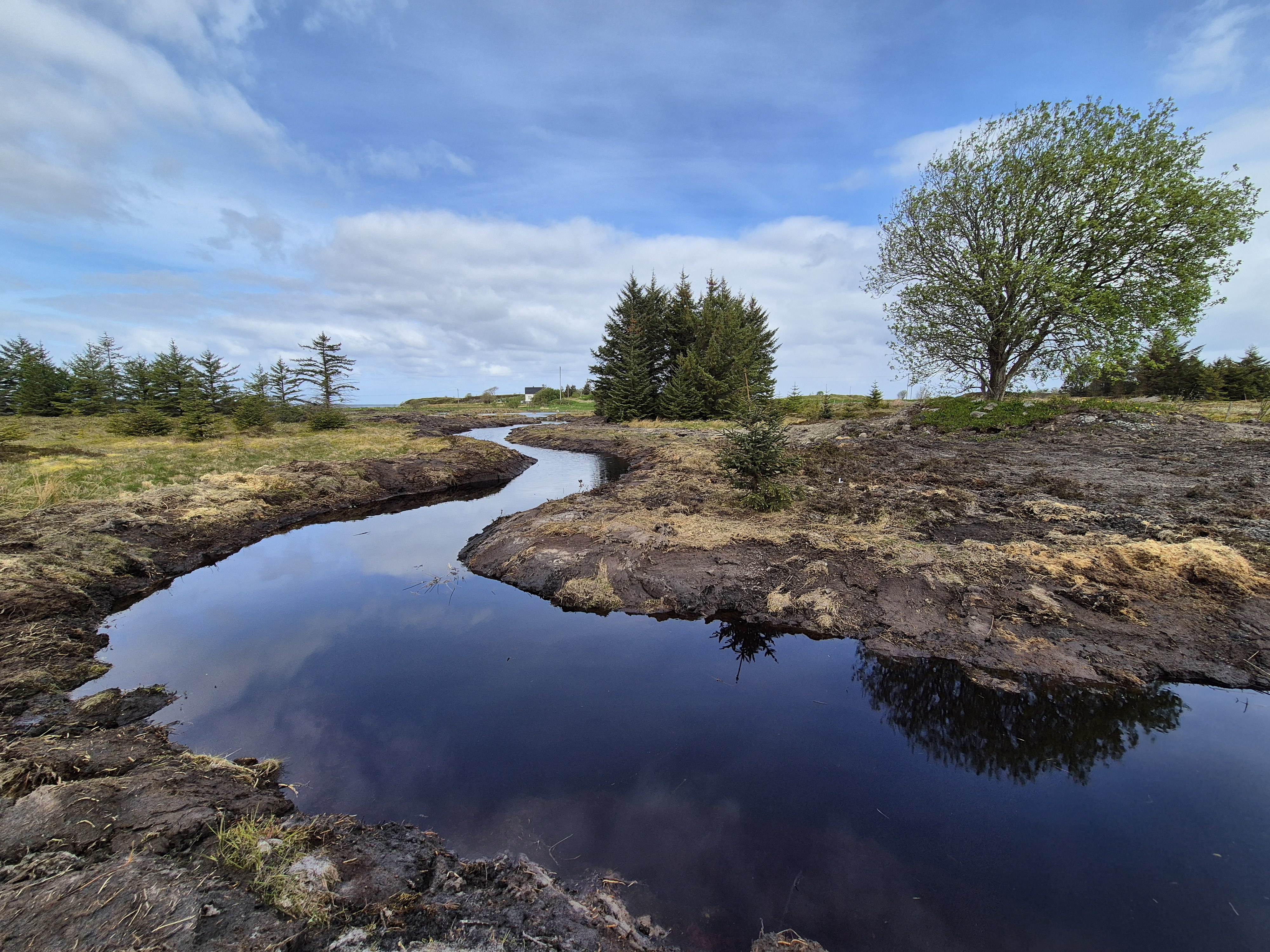 Den tidlegare kanaliserte bekken inn til Selviktjønna slyngar seg igjen gjennom landskapet. Foto: Michael Eklo, Statens naturoppsyn.