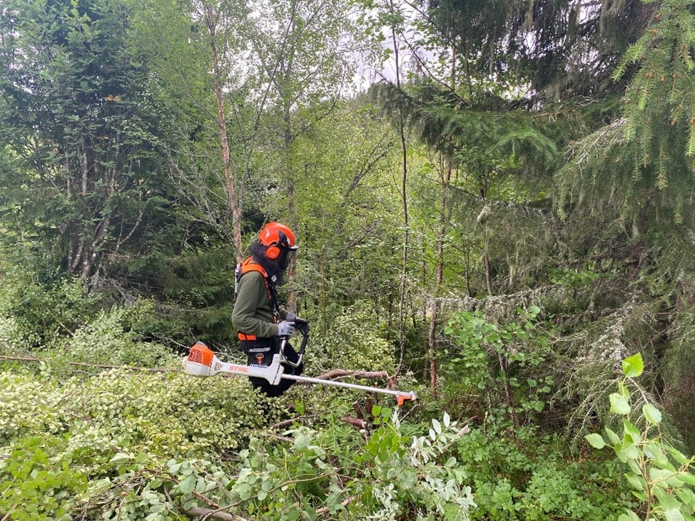 Foto: Erlend Grande, Trøndelag Skogselskap