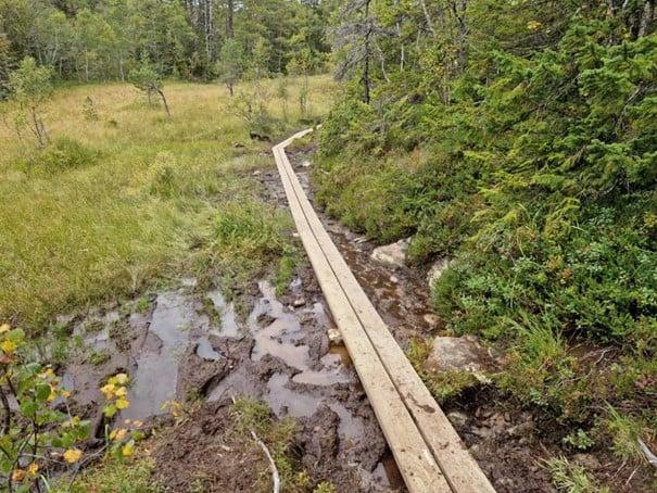 Foto: Georg Bangjord i Statens naturoppsyn