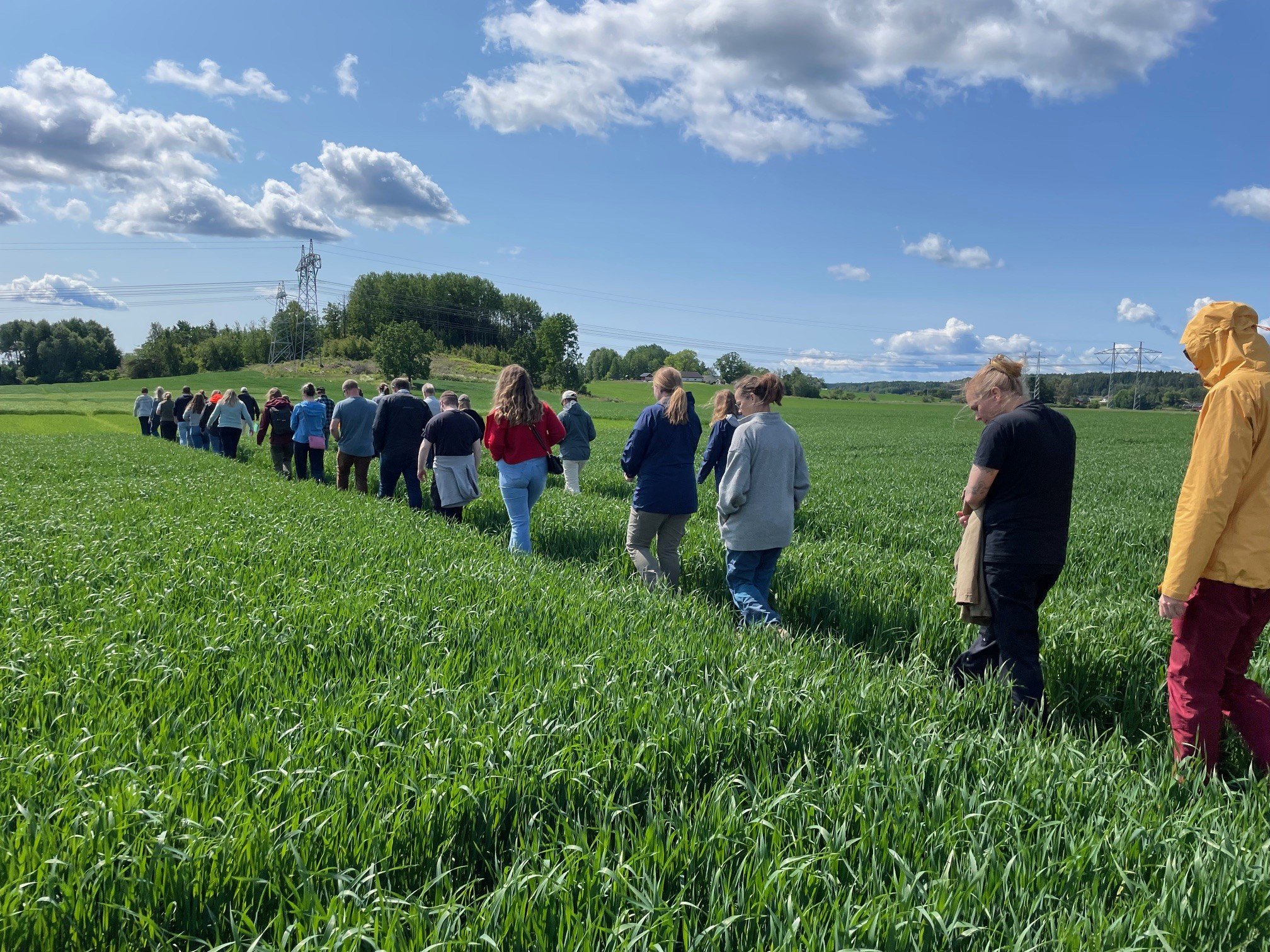 Befaring i kornåker i Råde