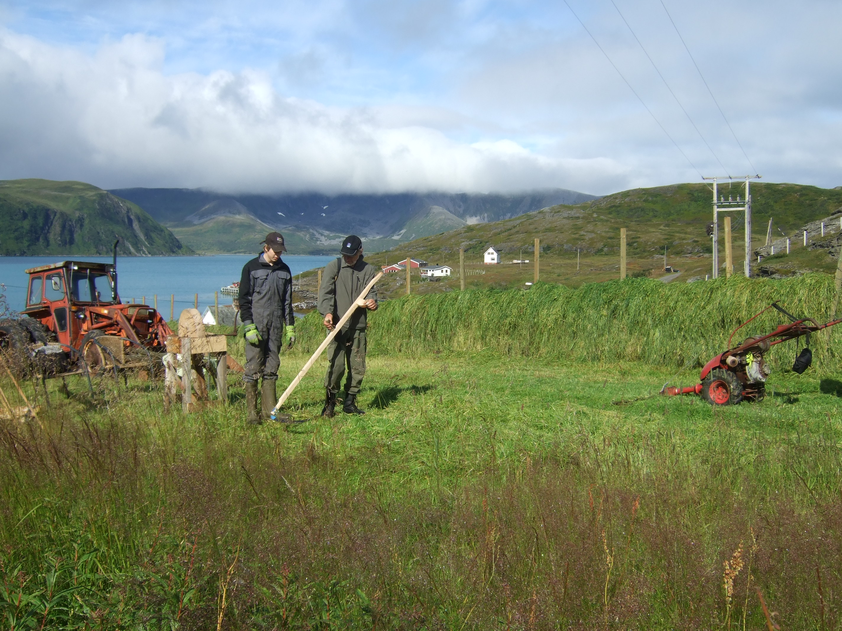Kulturlandskap og folk, på Sørøya. Foto: Cecilie Hansen