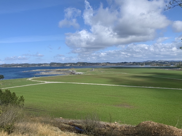 Herdla er eitt av dei viktigaste områda for fugl i Vestland fylke. No tilrår vi å styrke vernet i naturreservatet for å ta betre vare på fuglelivet. Foto: Solveig Kalvø Roald. et grønt landskap med sjø i sikte