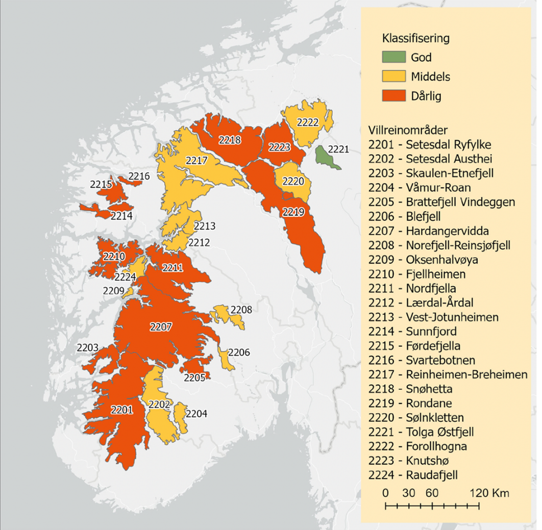 Resultat av klassifisering etter kvalitetsnormen for villrein for de nasjonale villreinområdene (ferdigstilt 2022) og de ikke-nasjonale villreinområdene (ferdigstilt 2023). Kilde: NINA Rapport 2372