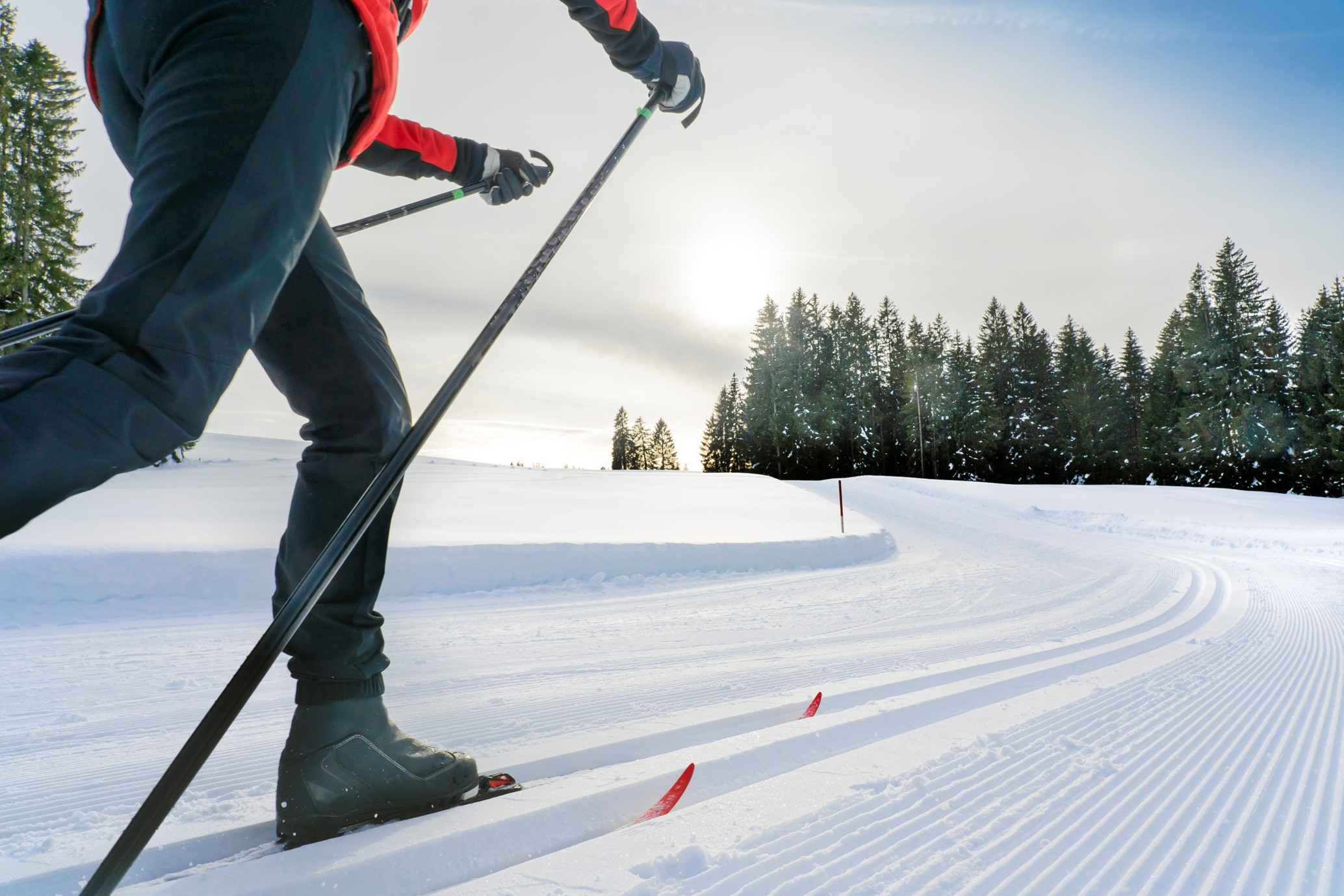 Gå på ski 