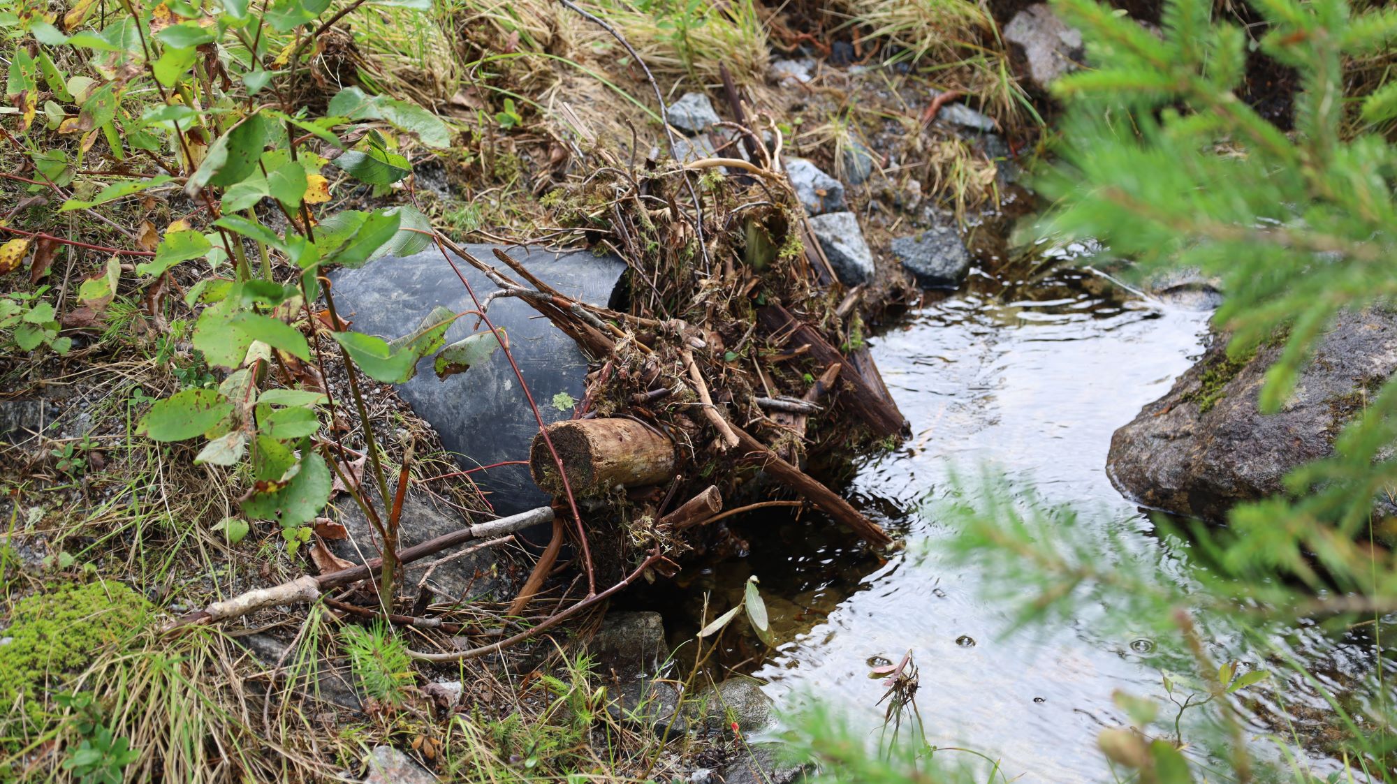 Skredmasser og kvist tatt med av flomvannet har tettet igjen stikkrennene under mange veier Foto: Statsforvalteren i Oslo og Viken. Bilde som viser vann, skredmasser, oversvømmelse