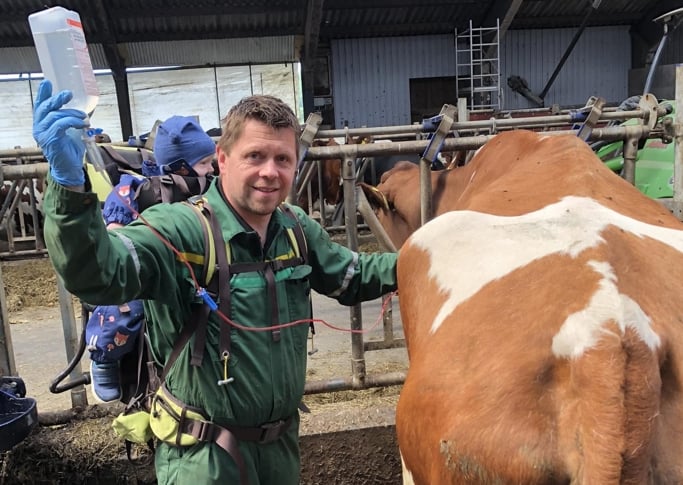 Veterinær Kay Arne Aarset behandlar ei ku.