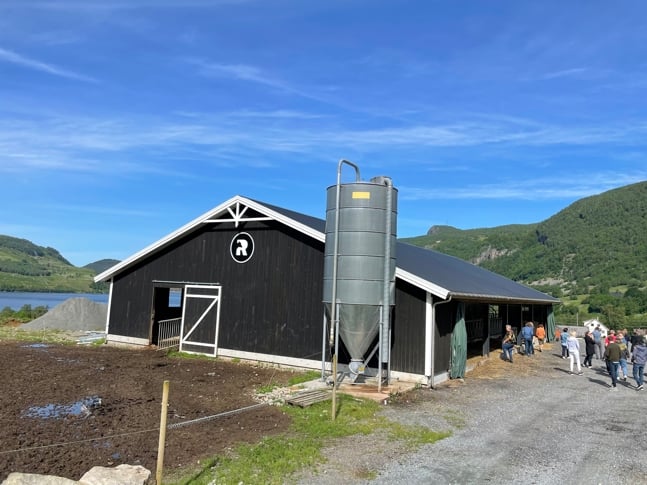 Mjølkefjøs hos Ryfylke gardsysteri.