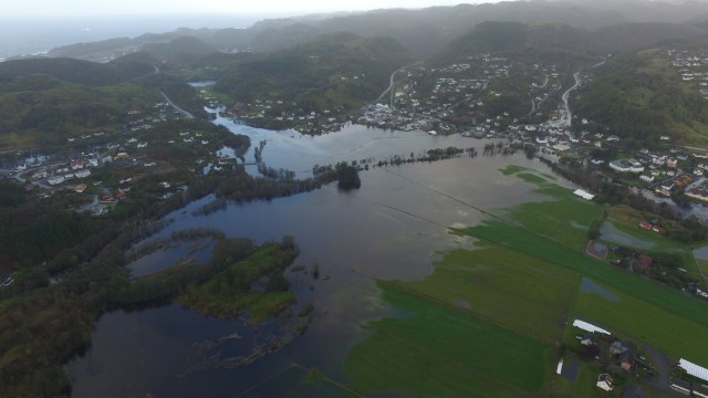 Flaum i Sokndal 2017. Foto: Eivind E. Tønnesen