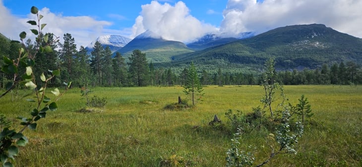 Slåttemyra kalt Neset ved Fjellfrøsvatnet i Balsfjord kommune. Landskapsbilde med fjell, skyfri himmel, enkelte furutrær, skog- og myrlandskap. 